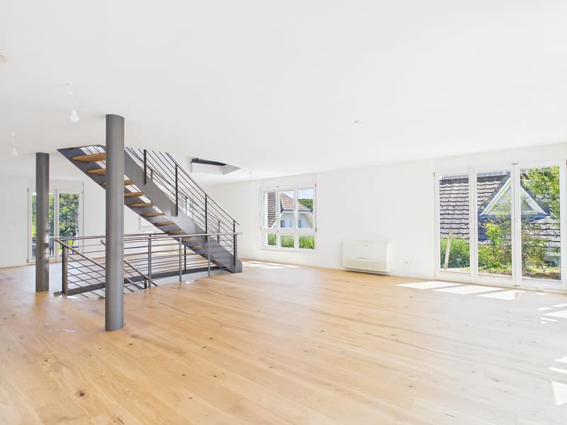 Frisch renoviertes 6.5-Zimmer-Einfamilienhaus in Therwil (3)