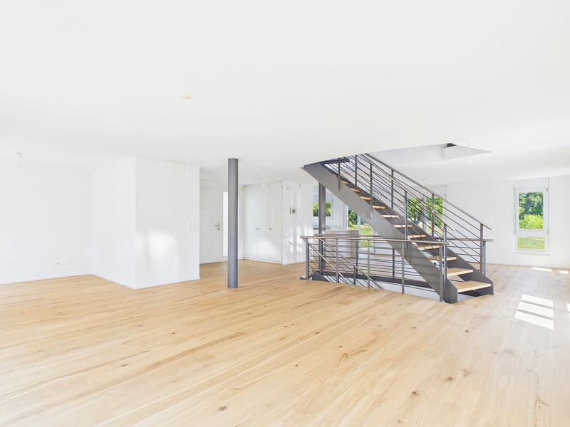 Frisch renoviertes 6.5-Zimmer-Einfamilienhaus in Therwil (4)