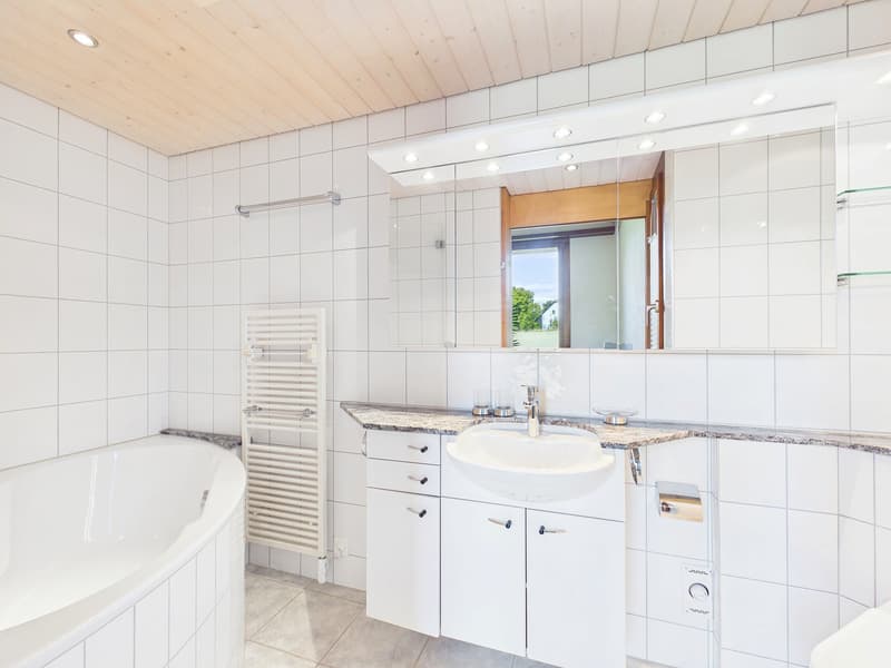 10.5-Zimmer-Einfamilienhaus mit Aussicht (8)