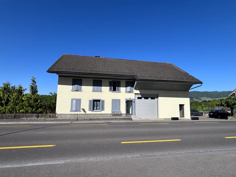 Mehrfamilienhaus mit 3 Wohneinheiten und Gewerbe - frisch saniert (2)