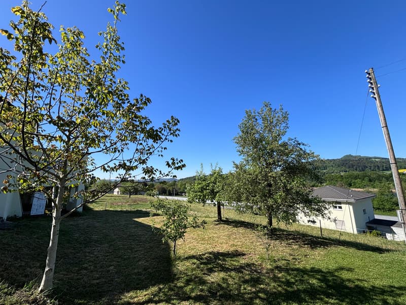 Mehrfamilienhaus mit 3 Wohneinheiten und Gewerbe - frisch saniert (9)