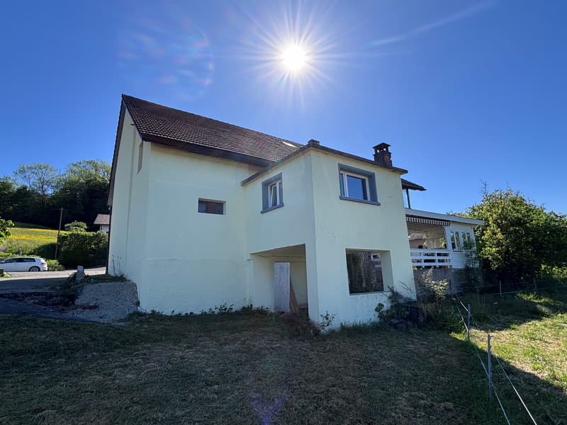 Mehrfamilienhaus mit 3 Wohneinheiten und Gewerbe - frisch saniert (7)