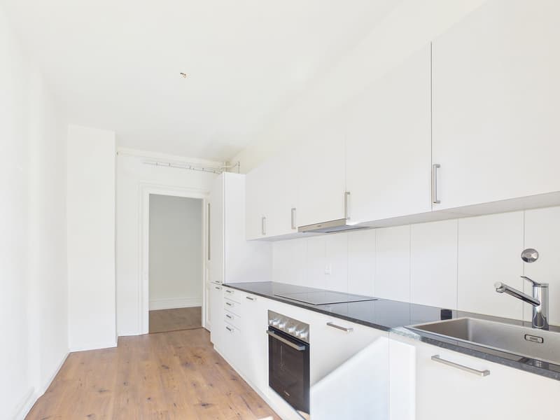 Mehrfamilienhaus mit 9 Wohnungen und 2 Gastrobetrieben in Basel kaufen - zentrale Lage (6)