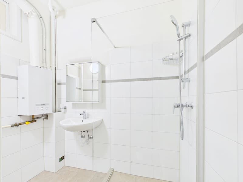 Mehrfamilienhaus mit 9 Wohnungen und 2 Gastrobetrieben in Basel kaufen - zentrale Lage (9)