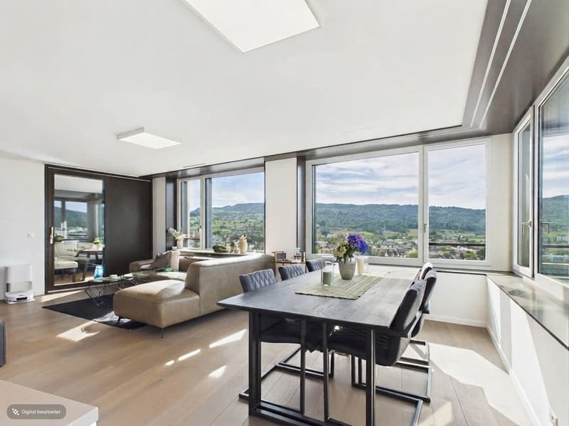 Wohnung im Limmat Tower mit Panoramablick (1)