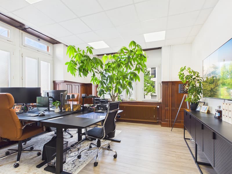 Repräsentative Bürofläche mit 5 Parkplätzen in Rheinfelden (10)
