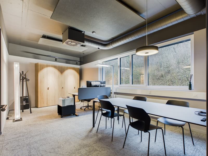 Moderne Büroetage 435 m² mit Dachterrasse in Frenkendorf (3)