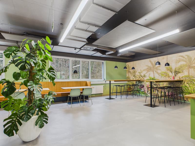 Moderne Büroetage 435 m² mit Dachterrasse in Frenkendorf (1)