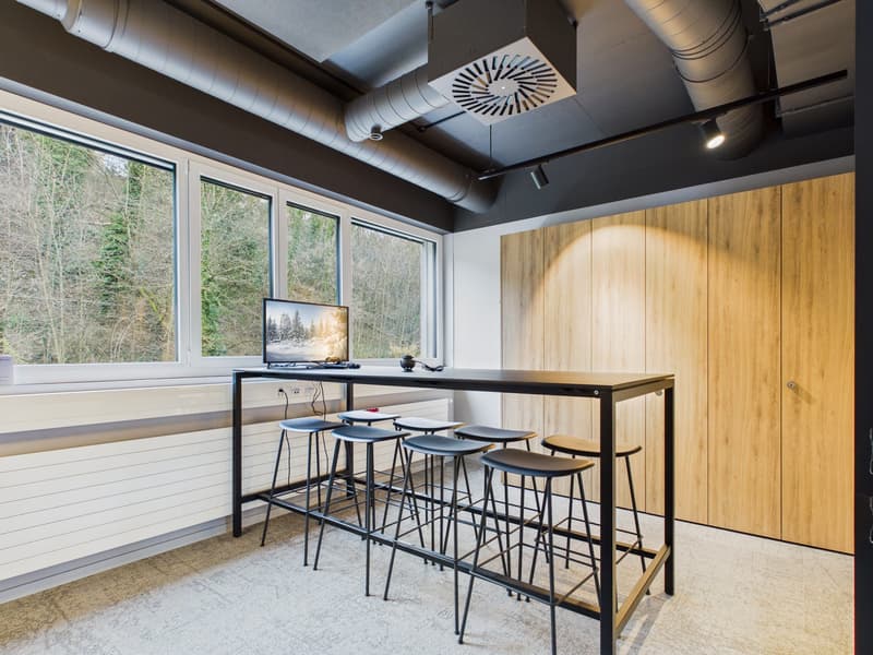 Moderne Büroetage 435 m² mit Dachterrasse in Frenkendorf (4)