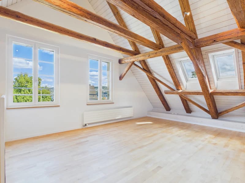2-Zimmer-Maisonette mit Balkon und Seesicht in Thalwil mieten (6)