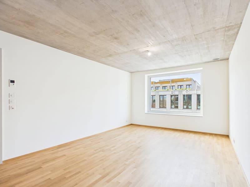 Erstbezug im modernen Neubau - hochwertiges Wohnen mitten in Basel (10)