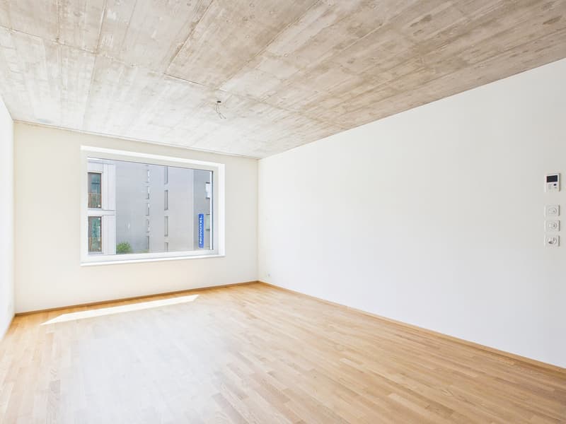 Erstbezug im modernen Neubau - hochwertiges Wohnen mitten in Basel (7)