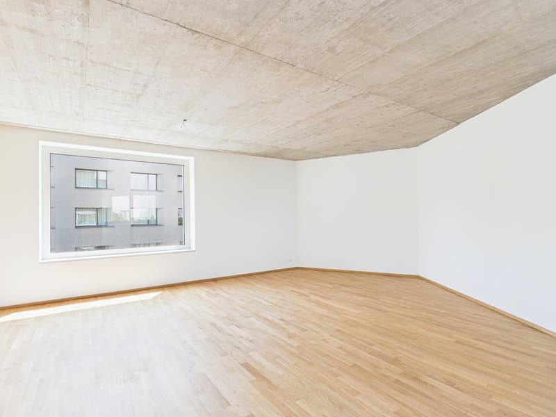 Erstbezug im modernen Neubau - hochwertiges Wohnen mitten in Basel (1)