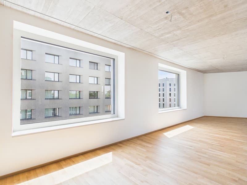 Erstbezug im modernen Neubau - hochwertiges Wohnen mitten in Basel (3)