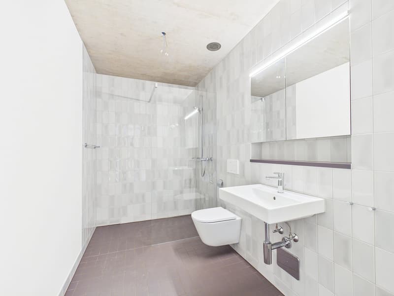 Erstbezug im modernen Neubau - hochwertiges Wohnen mitten in Basel (2)