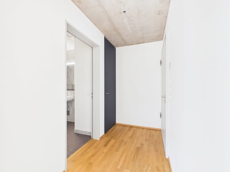 Erstbezug im modernen Neubau - hochwertiges Wohnen mitten in Basel (1)