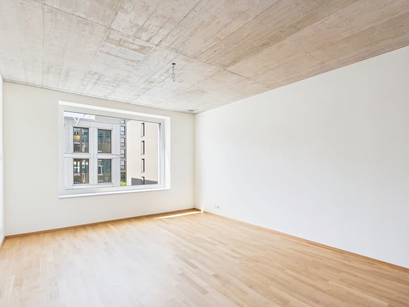 Erstbezug im modernen Neubau - hochwertiges Wohnen mitten in Basel (7)