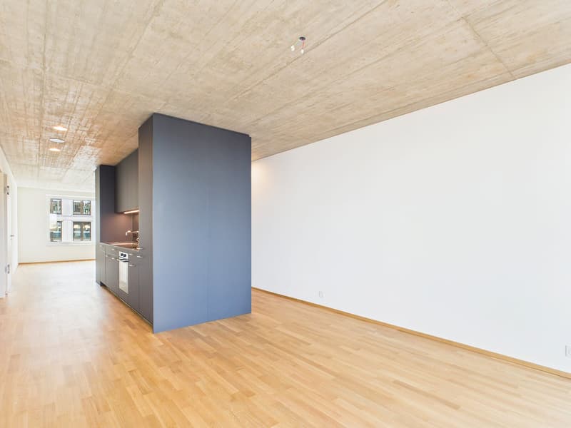 Erstbezug im modernen Neubau - hochwertiges Wohnen mitten in Basel (10)
