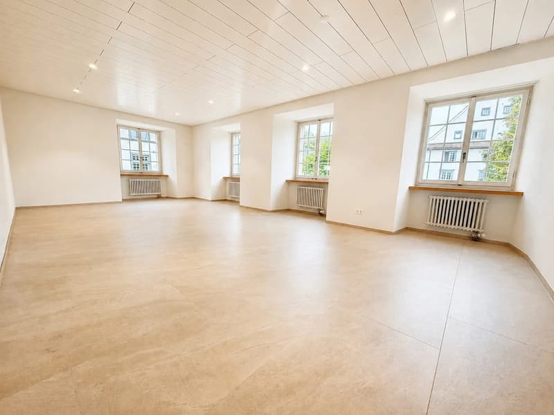 *RESERVIERT* Grosszügige 5.5-Zimmer-Maisonette - 177 m² Wohnfläche & zwei Balkone (8)