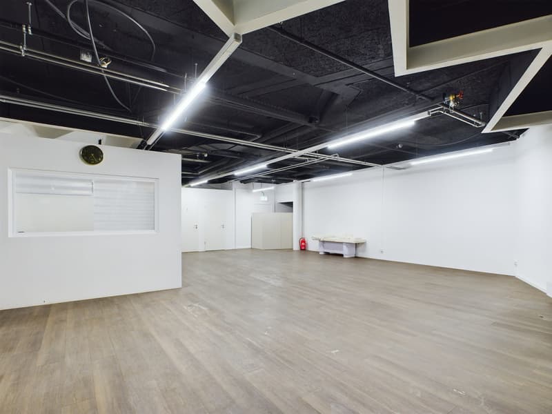8.8% Rendite-Hit! Vollvermietetes Gewerbe im Zentrum von Olten zu verkaufen (9)