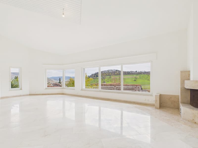 Luxuriöse Villa mit unverbaubarer Aussicht und viel Privatsphäre in Frenkendorf (4)