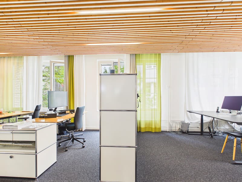 Moderner Office Space im Herzen von Zürich (6)