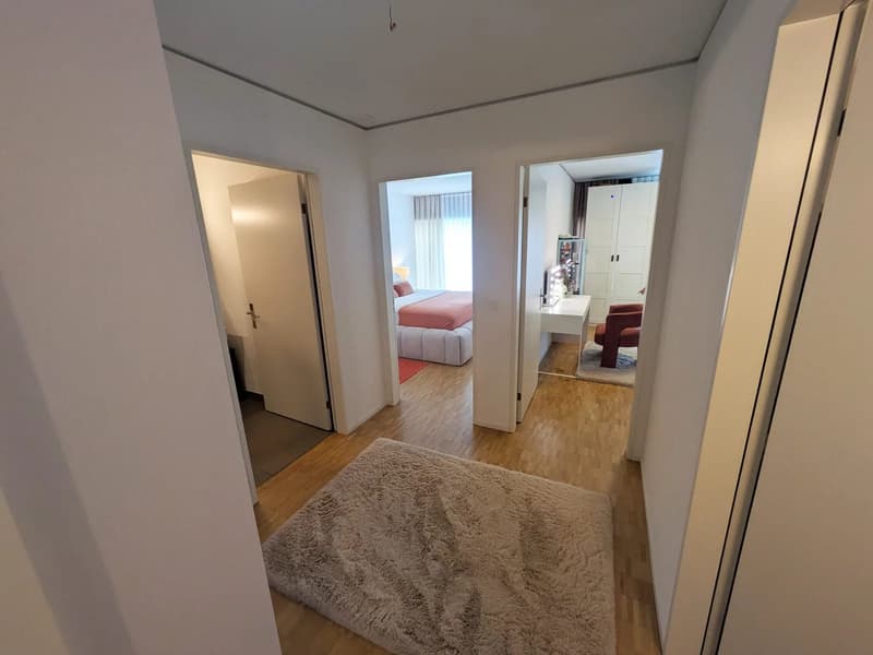 Möblierte Wohnung im Claraturm zur befristeten Untermiete in Basel (10)