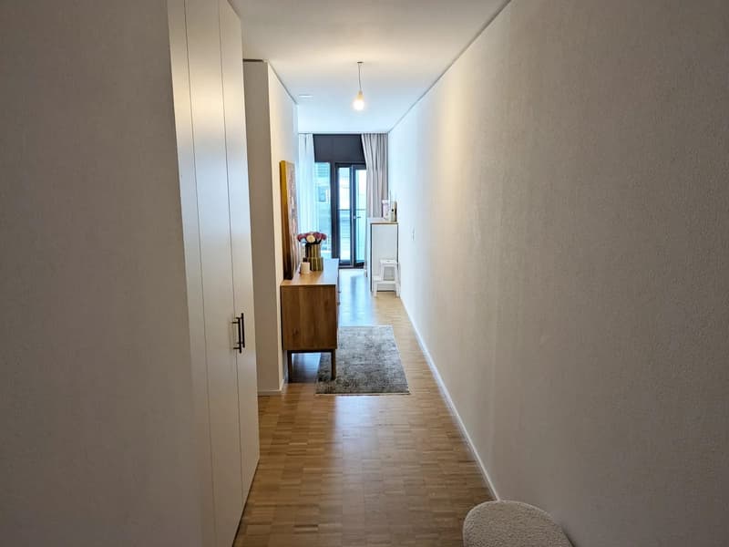 Möblierte Wohnung im Claraturm zur befristeten Untermiete in Basel (9)