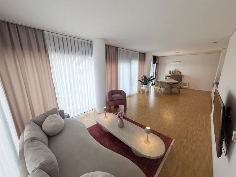 Möblierte Wohnung im Claraturm zur befristeten Untermiete in Basel (8)