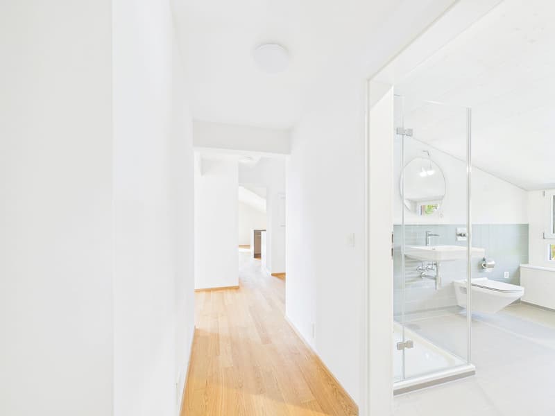 Sehr grosszügige, lichtdurchflutete, frisch renovierte Dachwohnung (8)