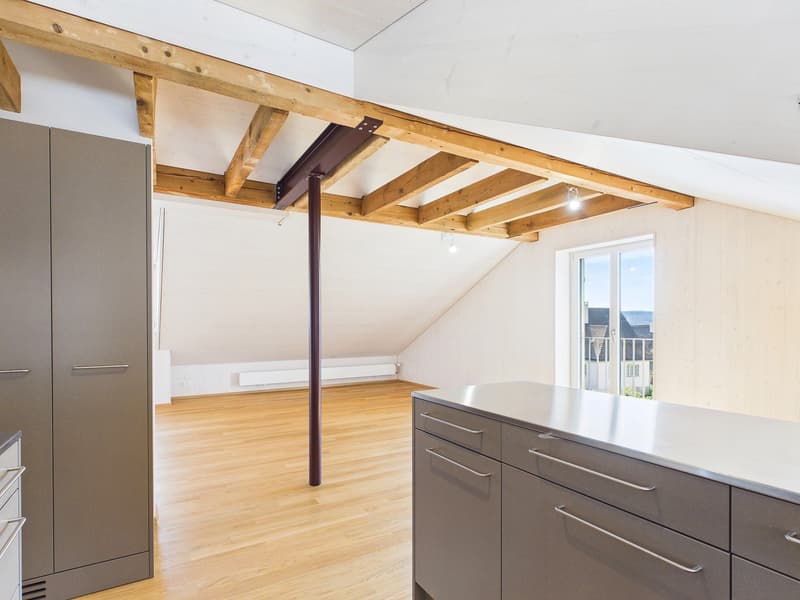 Sehr grosszügige, lichtdurchflutete, frisch renovierte Dachwohnung (6)
