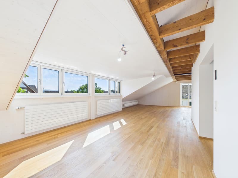 Sehr grosszügige, lichtdurchflutete, frisch renovierte Dachwohnung (11)