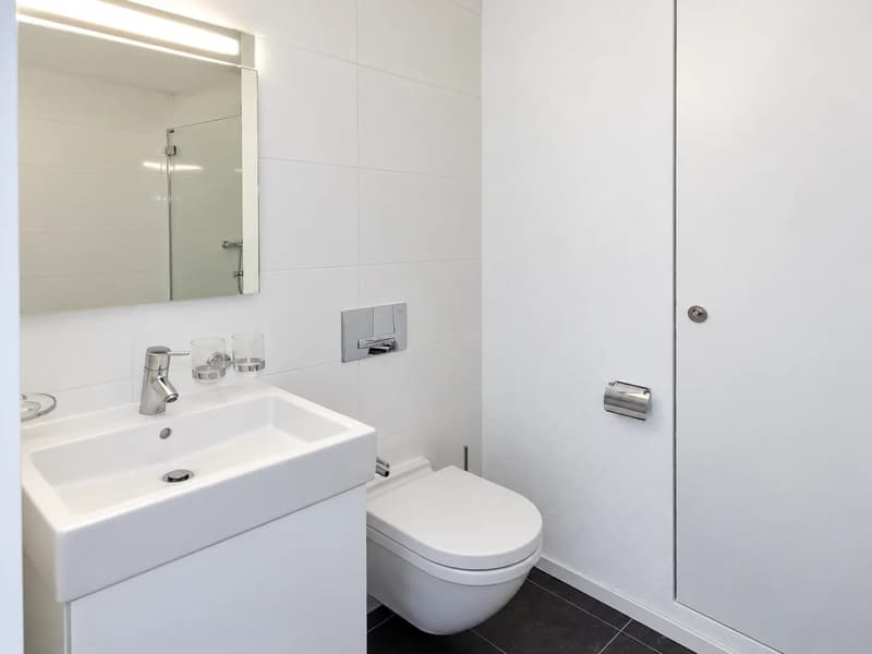 3-Zimmer-Wohnung mit Weitsicht in Basel mieten (7)