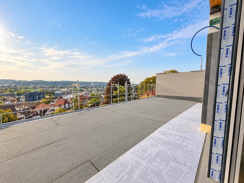 Exklusive 8-Zimmer-Doppelhaushälfte mit Dachterrasse in Münchenstein (8)