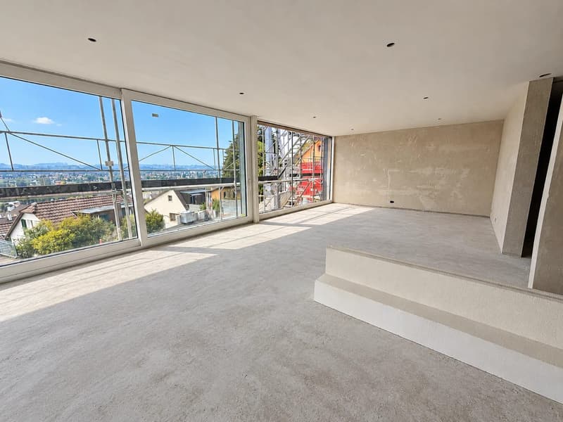 Exklusive 8-Zimmer-Doppelhaushälfte mit Dachterrasse in Münchenstein (10)