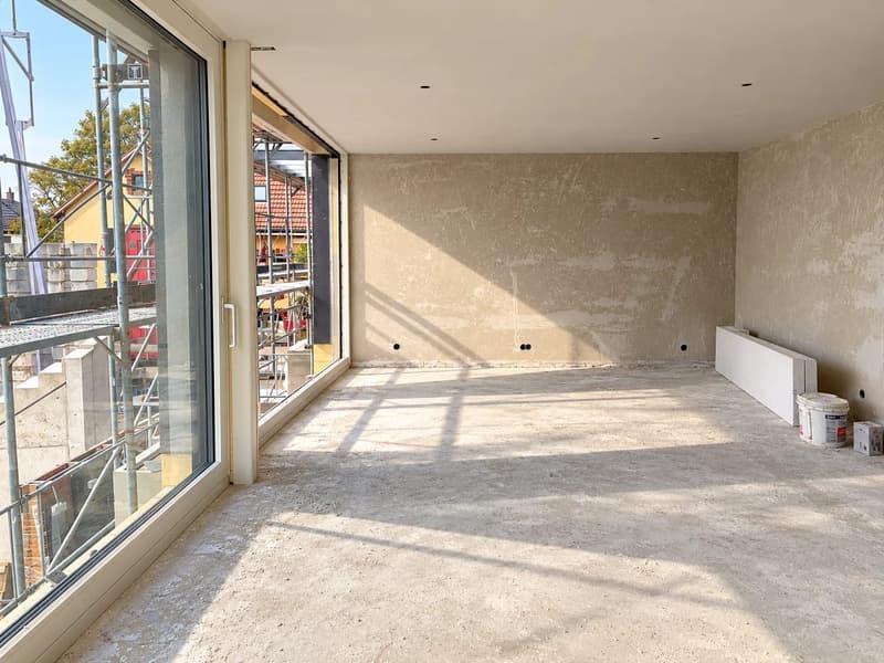 Exklusive 8-Zimmer-Doppelhaushälfte mit Dachterrasse in Münchenstein (6)
