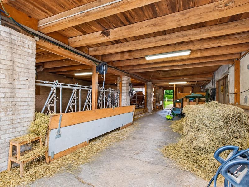 Grosszügiges 7-Zimmer-Bauernhaus mit Einliegerwohnung und vielseitigem Nutzungspotenzial (10)