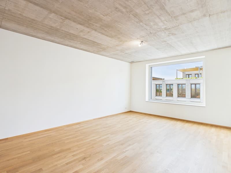 Erstbezug im modernen Neubau - hochwertiges Wohnen mitten in Basel (11)