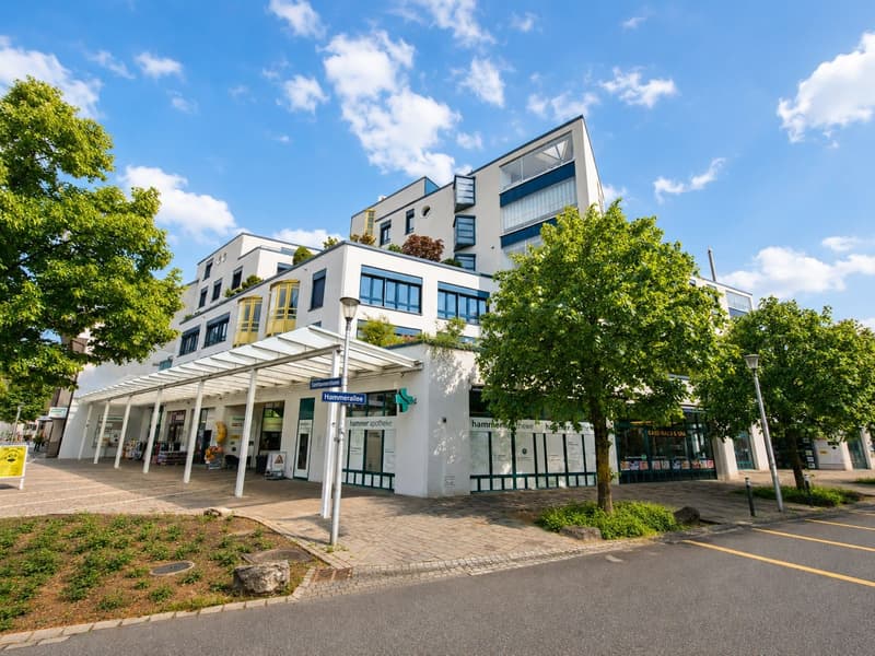 8.6% Rendite-Hit! Vollvermietetes Gewerbe im Zentrum von Olten zu verkaufen (6)