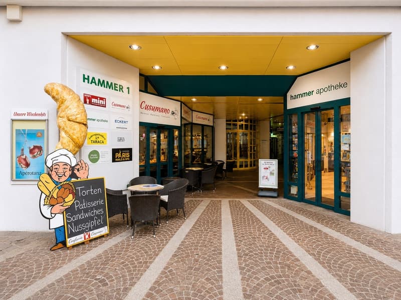 8.6% Rendite-Hit! Vollvermietetes Gewerbe im Zentrum von Olten zu verkaufen (7)