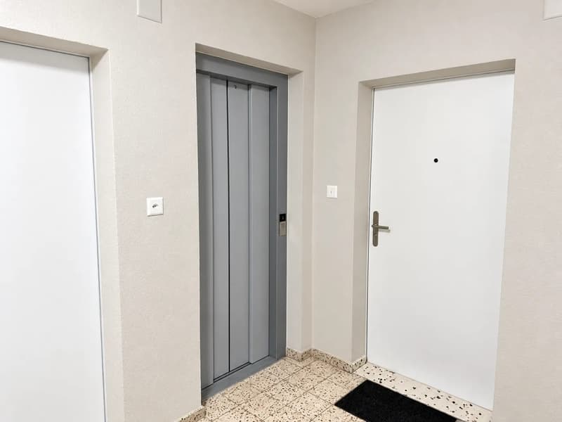 3-Zimmer-Wohnung mit Balkon nahe Oekolampadpark in Basel mieten (2)