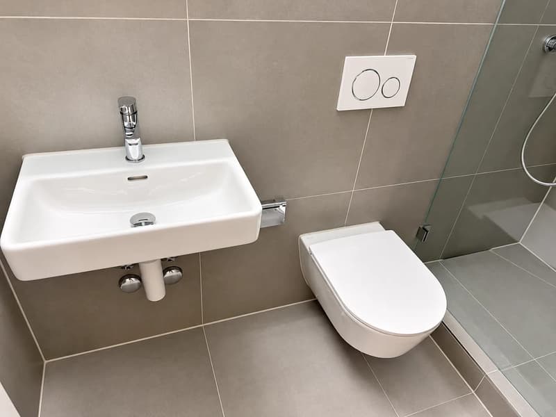 3-Zimmer-Wohnung mit Balkon nahe Oekolampadpark in Basel mieten (10)