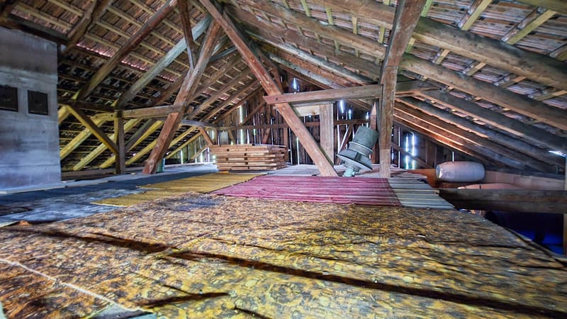 Gewerbeliegenschaft mit voll eingerichteter Brennerei und Ausbaupotenzial für eine grosszügige 5½-Zimmer-Wohnung (12)