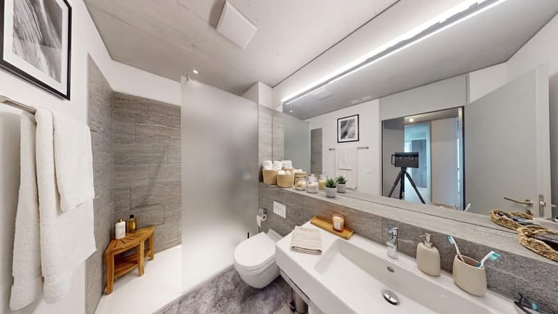 3.5-Zimmer mit Loggia und Bergsicht in Mels mieten (7)