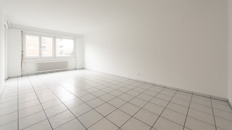 GUT ERSCHLOSSENE WOHNUNG IN OLTEN (4)