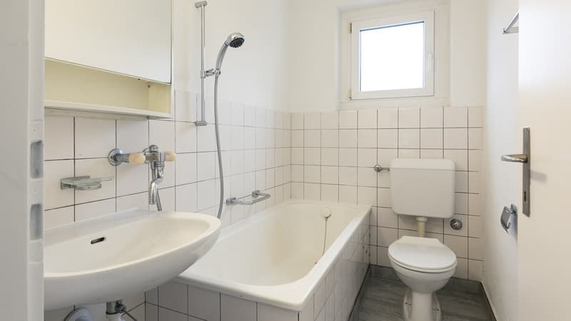 GUT ERSCHLOSSENE WOHNUNG IN OLTEN (9)