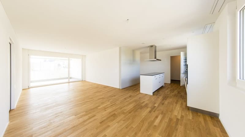 Wohnzimmer/Küche