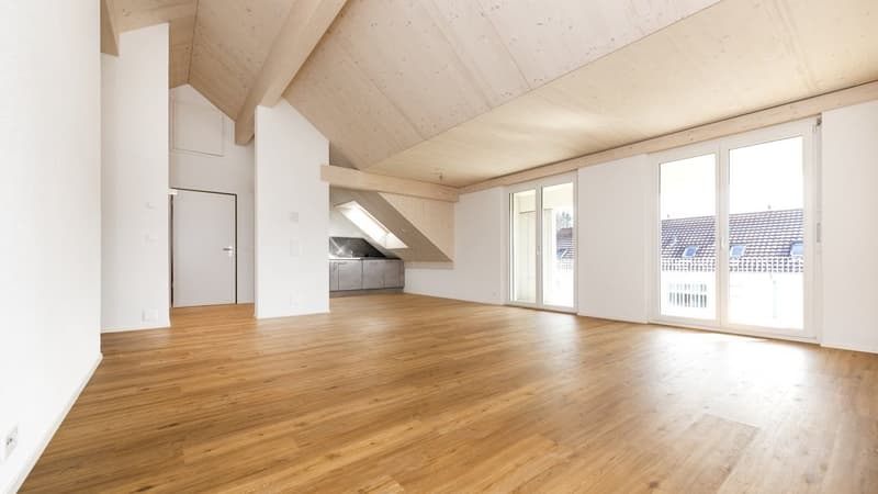 Wohnzimmer / Küche