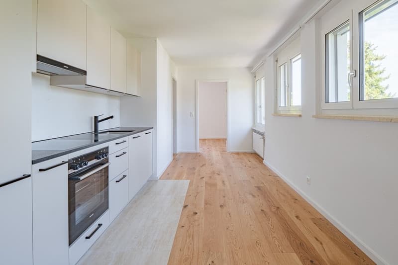 SANIERTE CHARMANTE KLEINWOHNUNG ZU VERMIETEN (4)