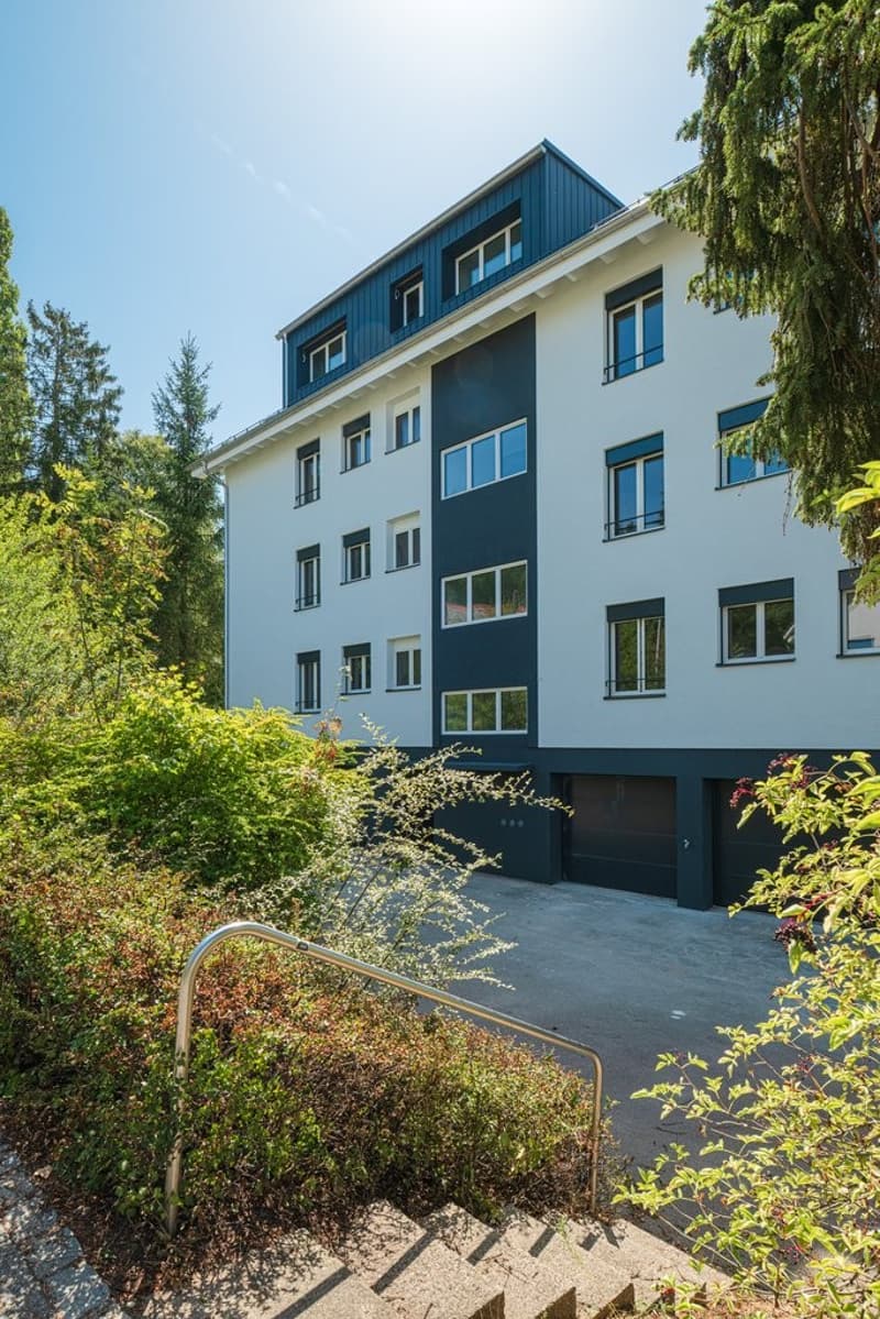 SANIERTE CHARMANTE KLEINWOHNUNG ZU VERMIETEN (2)